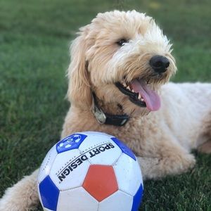 Meet your Posher, Caitlin